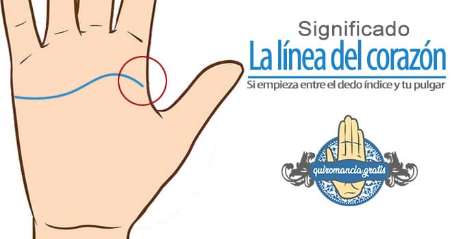 linea corazon empieza entre el dedo índice y tu pulgar significado