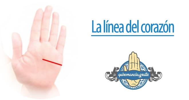 línea corazón recta significado